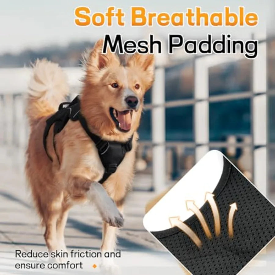 Escape Proof Harness for Large Dogs