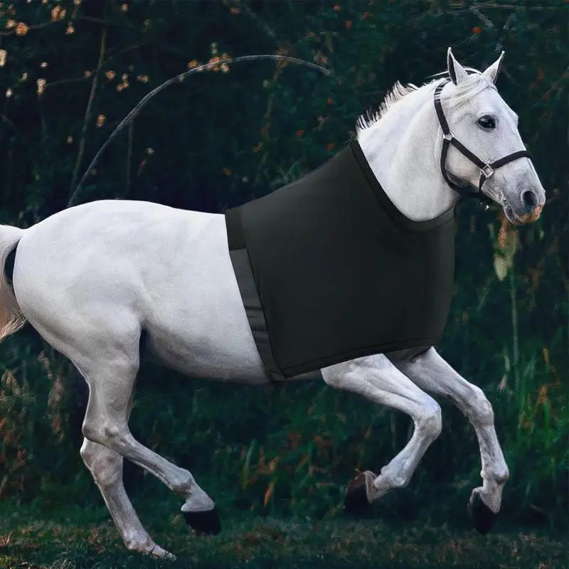 Horse Neck Cover