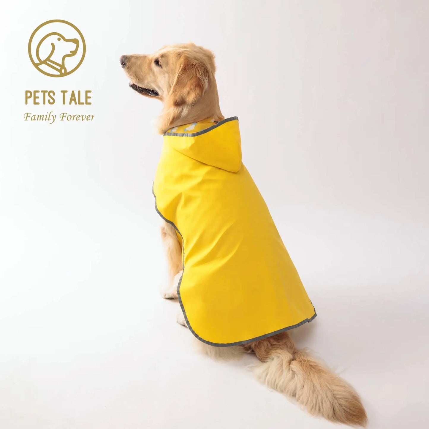 All Weather Dog Raincoat