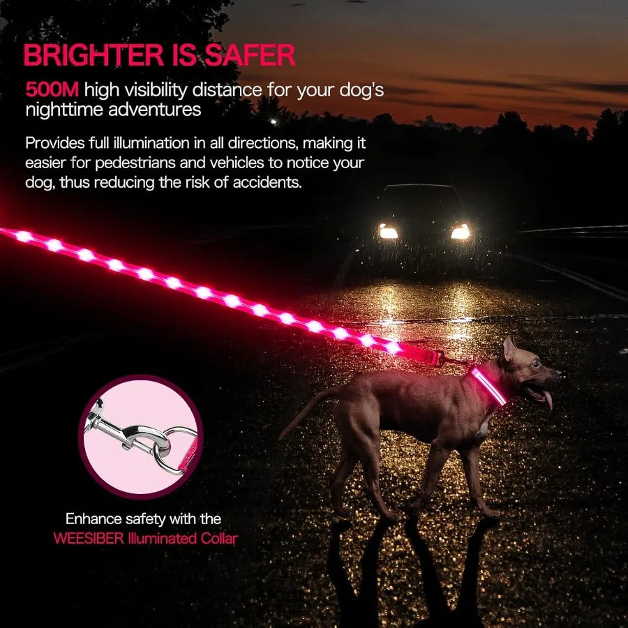 Light Up Dog Leash