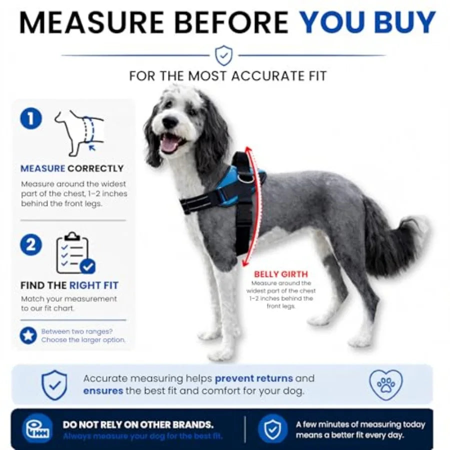 Essential Dog Harness, No-Pull Pet Vest with 3 Leash Clips