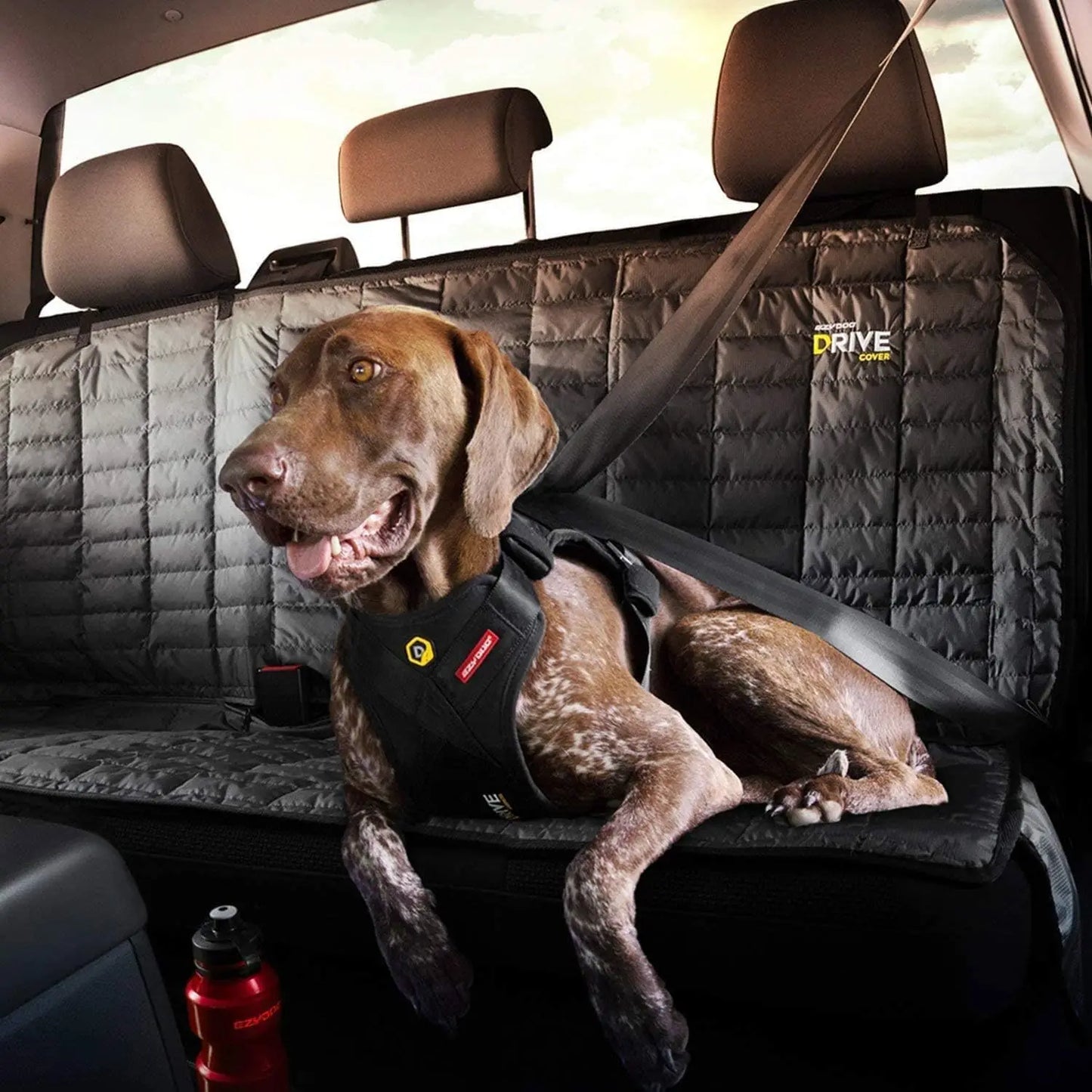 Certified Dog Car Harness