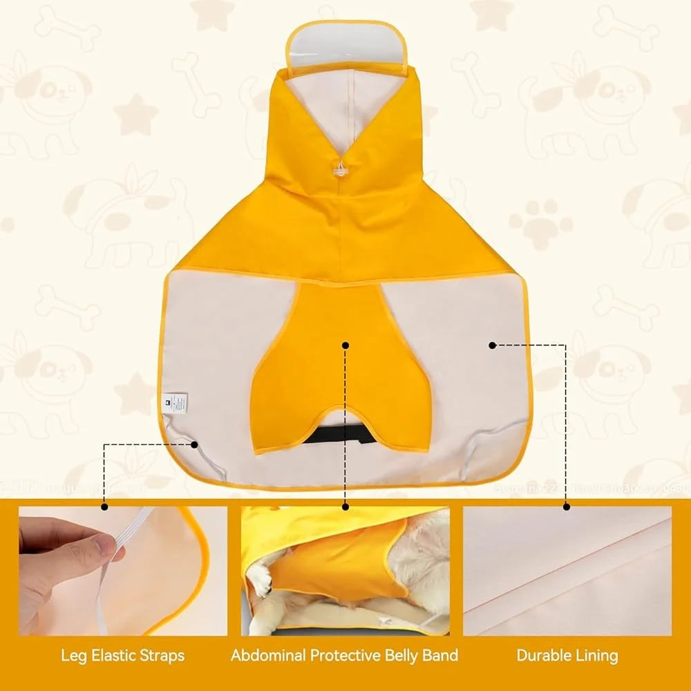 Waterproof Dog Raincoat  with Leash Hole