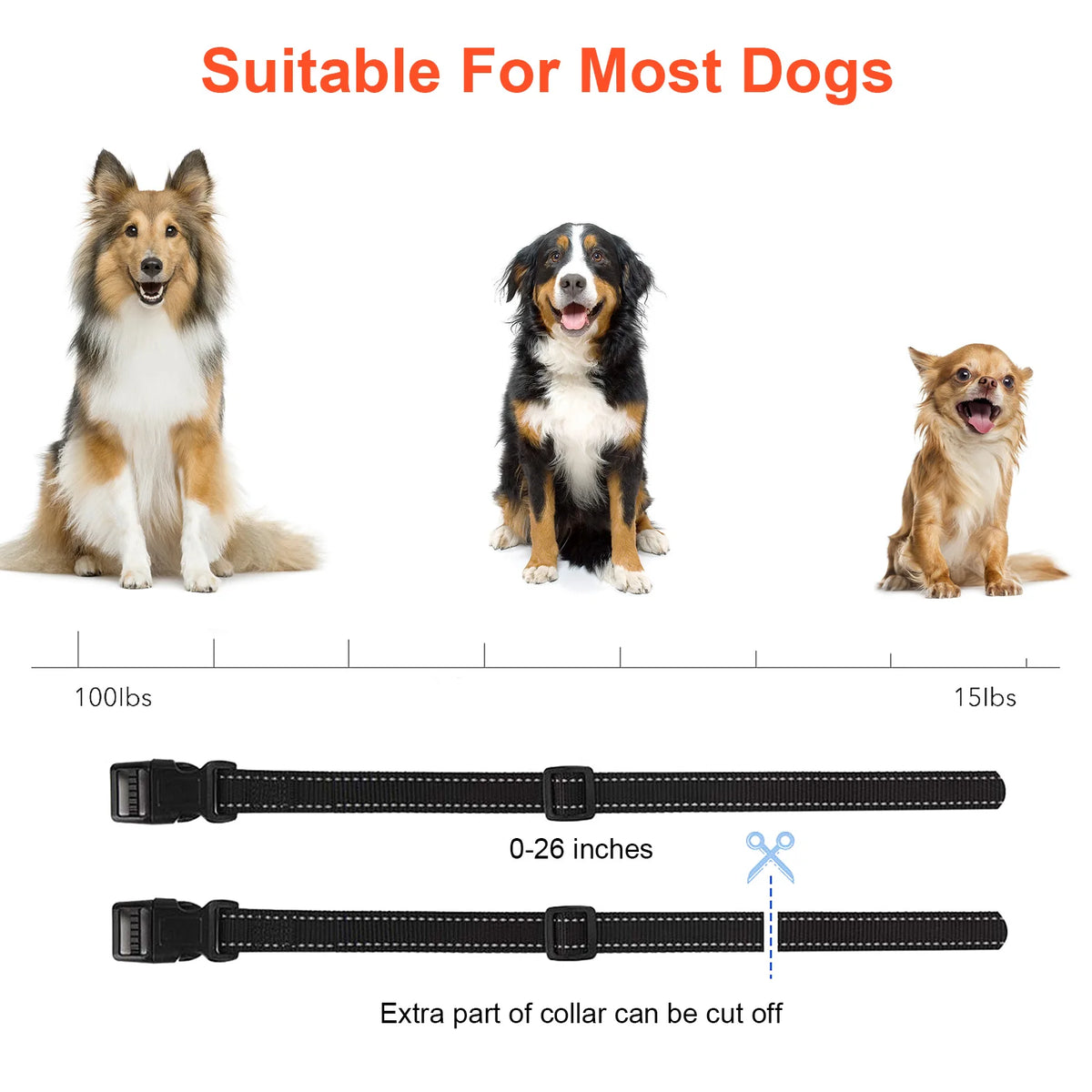 Pet Dog Electric Fence