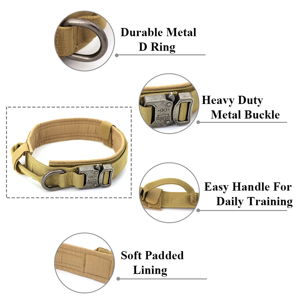 Dog Training Collar