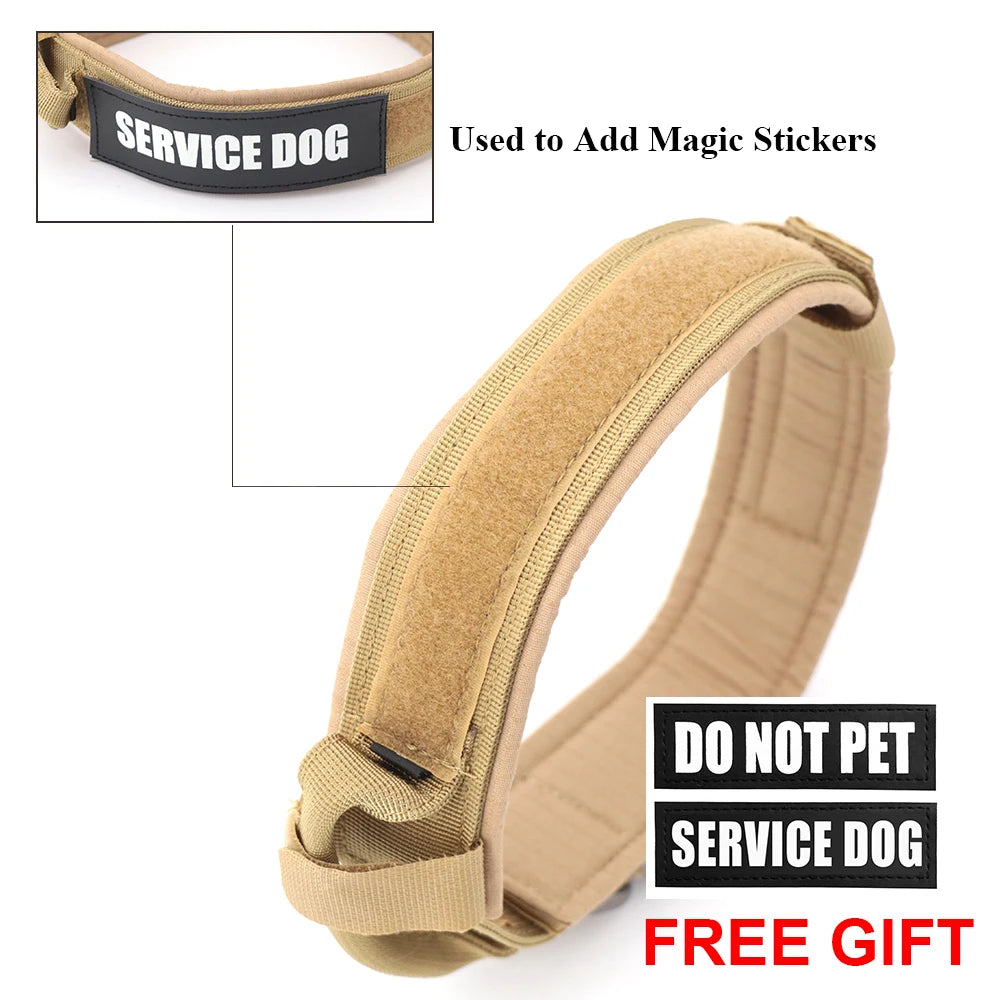 Dog Training Collar