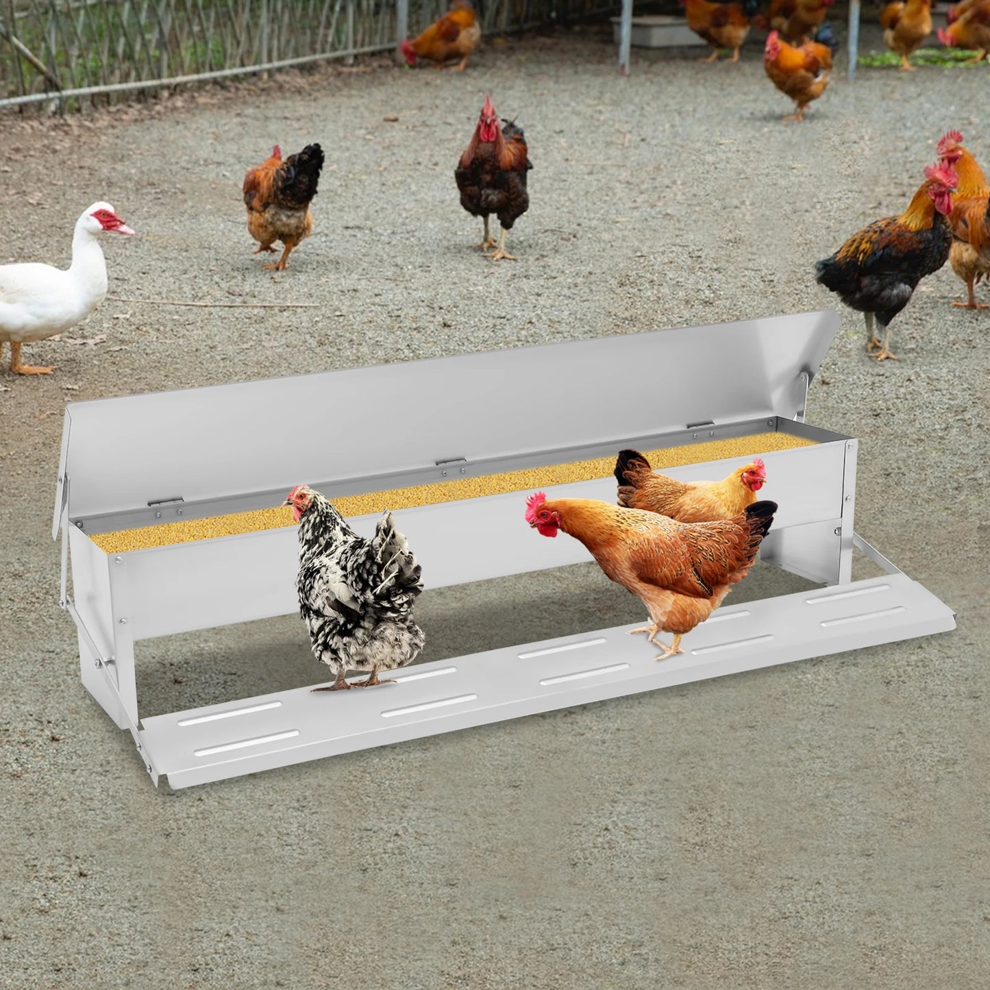 Automatic Chicken Feeder