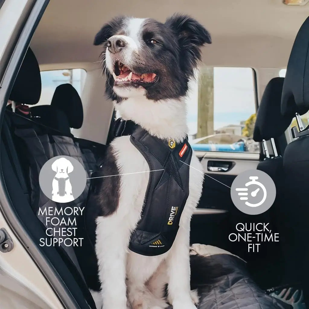 Certified Dog Car Harness