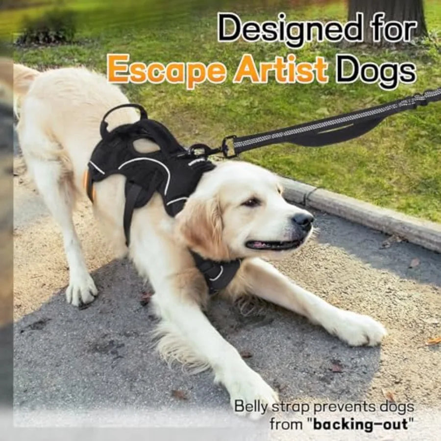 Escape Proof Harness for Large Dogs