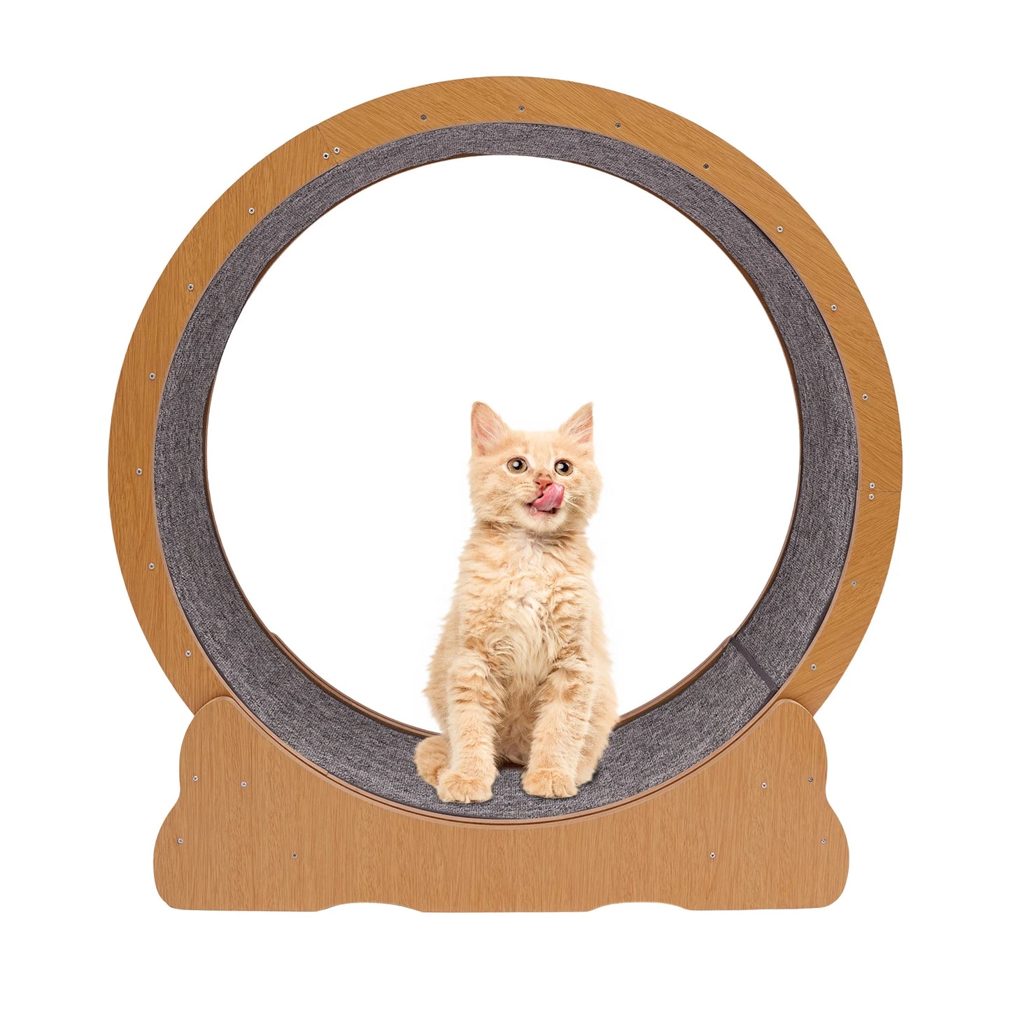 Wooden Cat Exercise Wheel