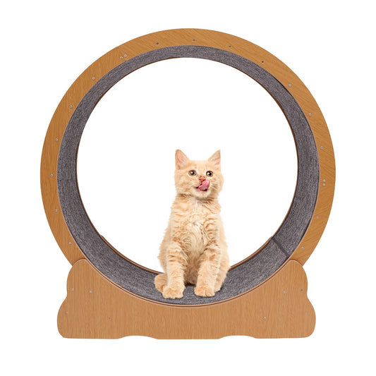 Wooden Cat Exercise Wheel