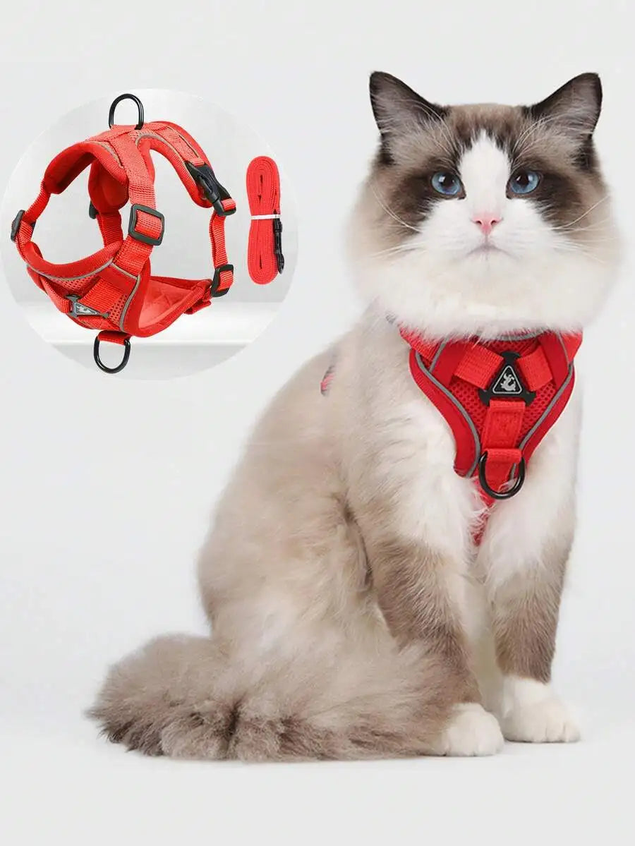 Pet Harness And Leash Set