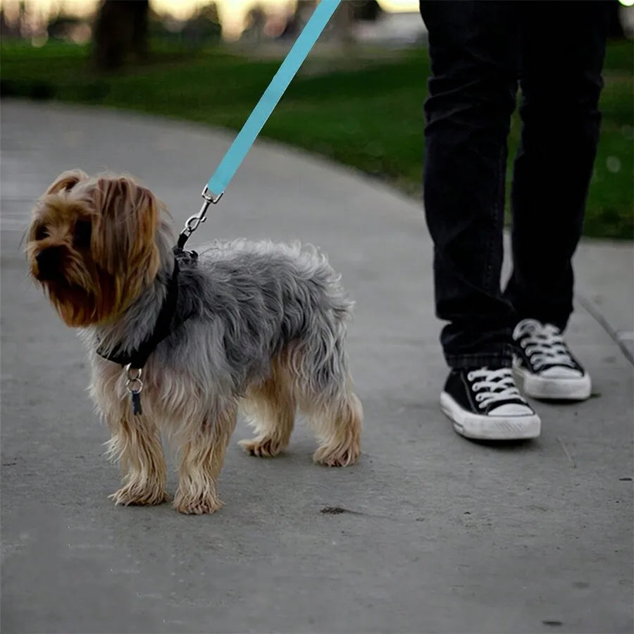 Pet Car Belt