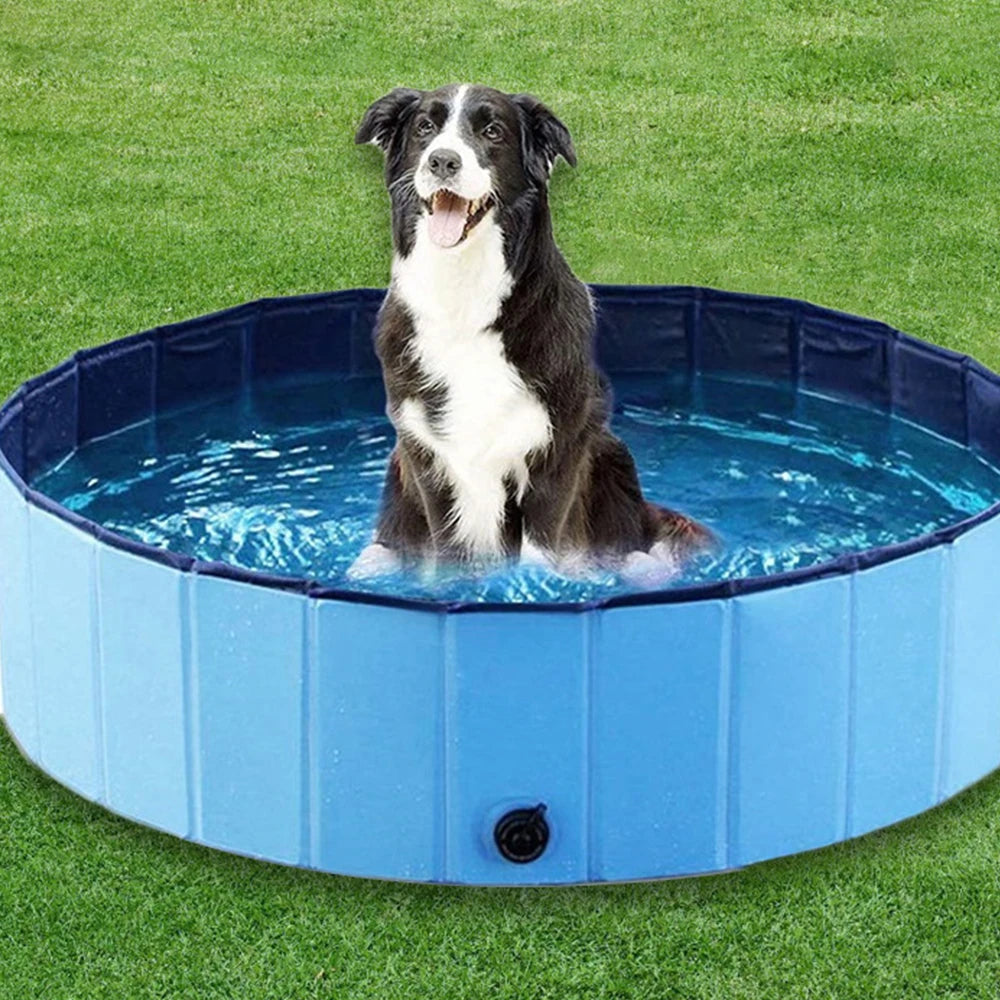 Dog Swimming Pool or Pool Cover