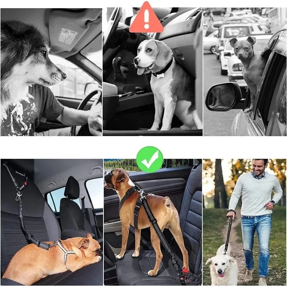 2-in-1 Dog Car Seatbelt