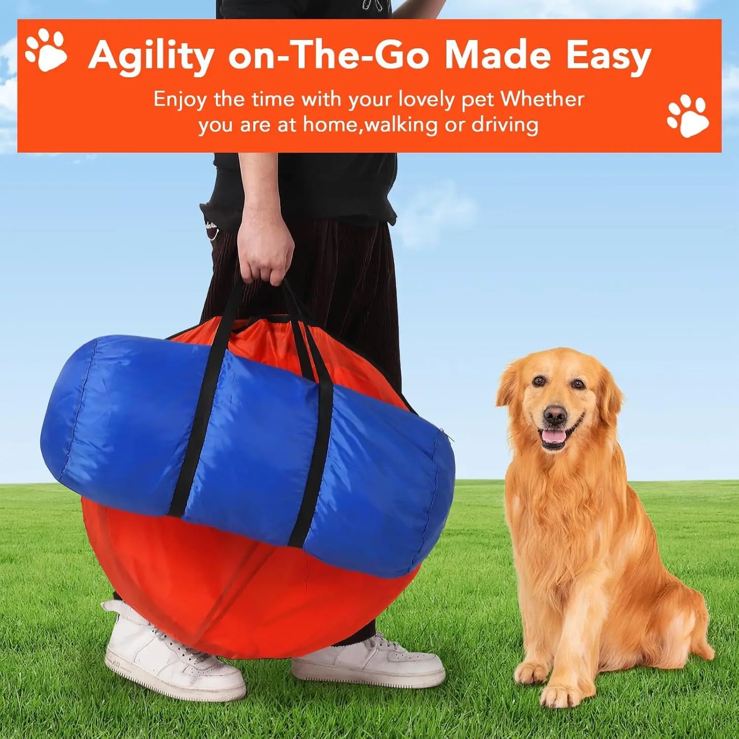 Dog Agility Training Obstacle Course Set