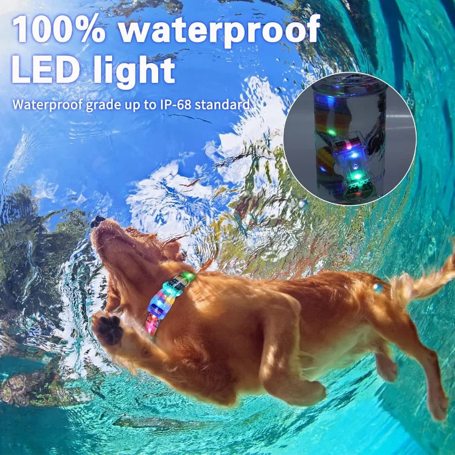 Light Up LED Dog Collars