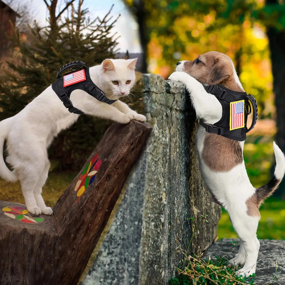 Tactical Puppy  Cats Harness Leash Set