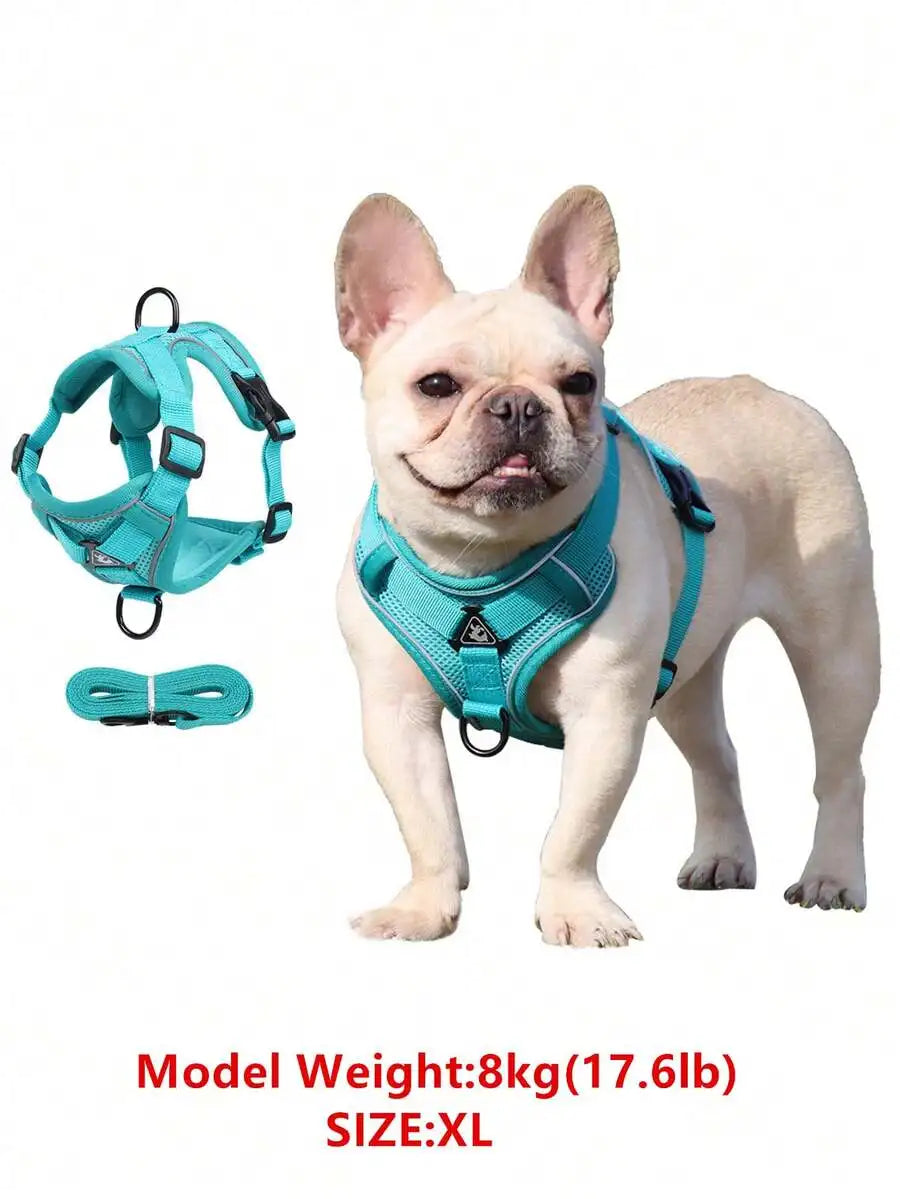 Pet Harness And Leash Set