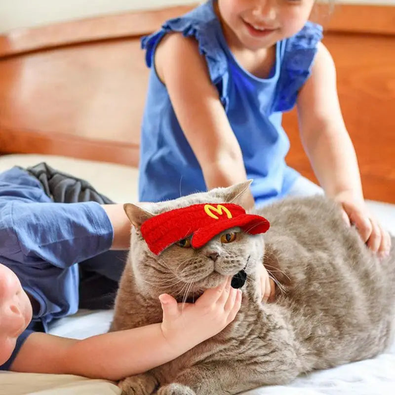 Cat Hat Knitted Beanie