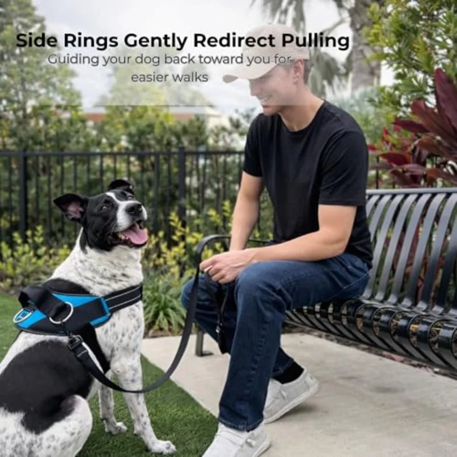 Essential Dog Harness, No-Pull Pet Vest with 3 Leash Clips
