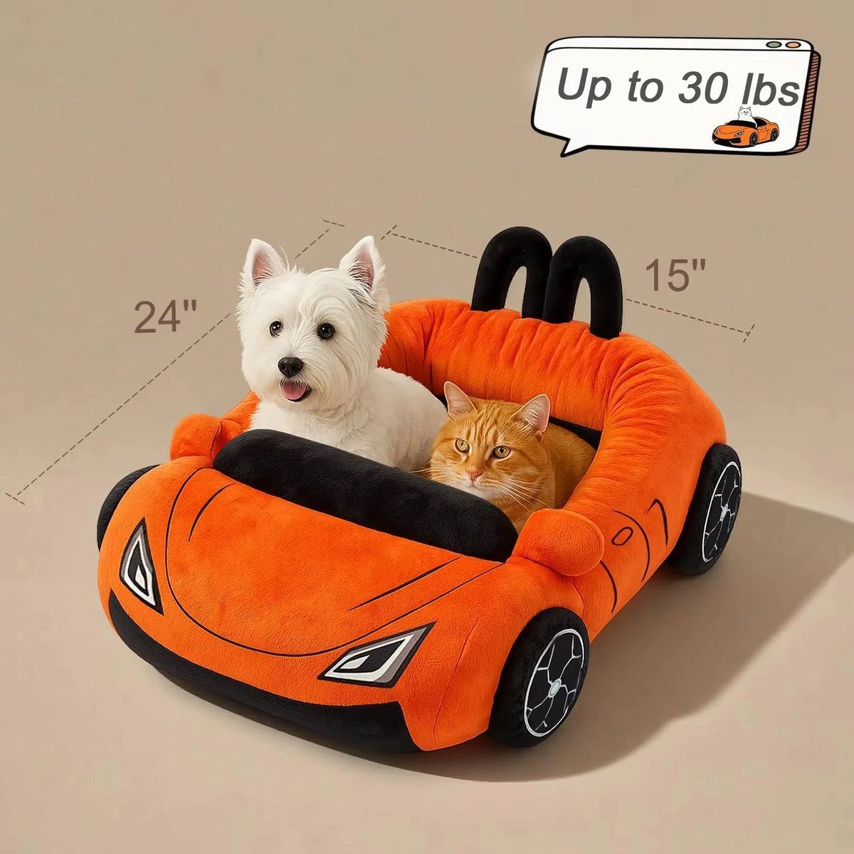 Funny Cat and Puppy Beds