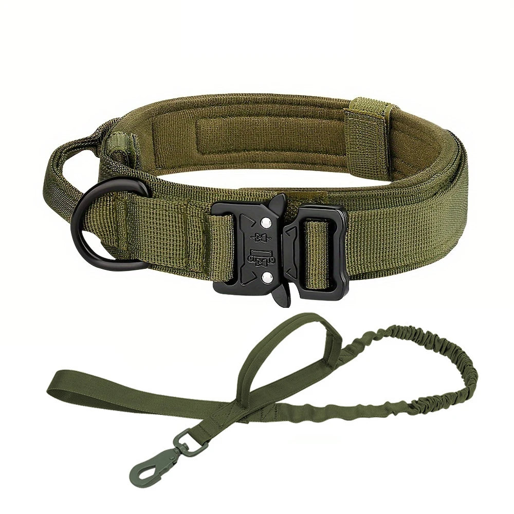 Dog Training Collar