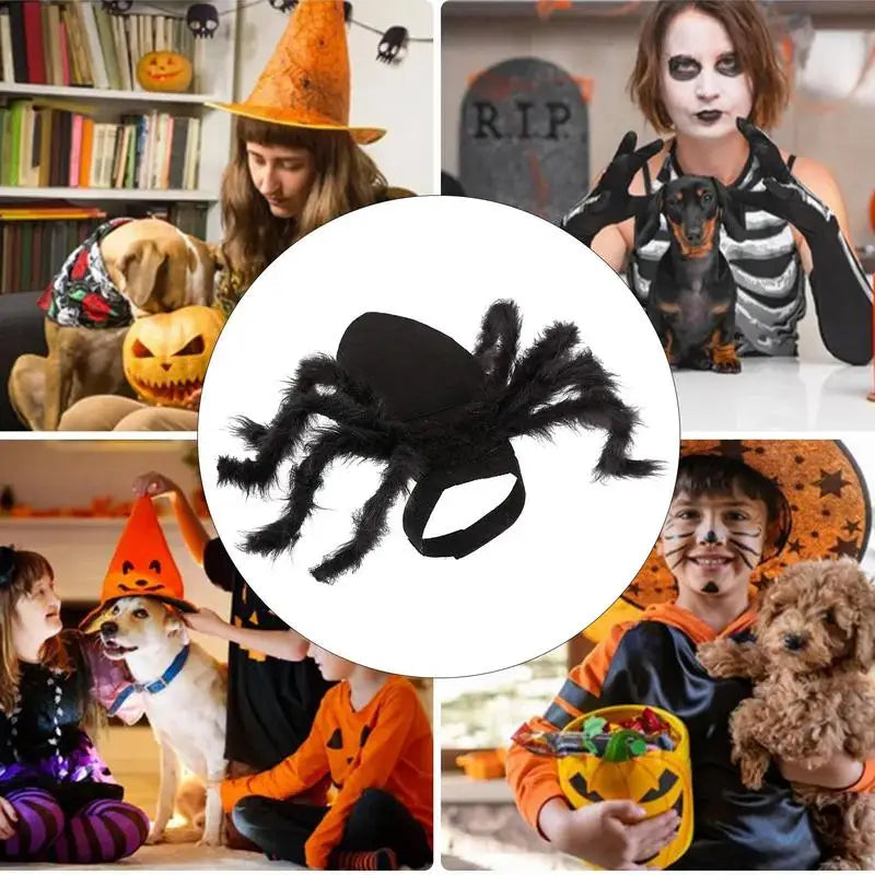 Spider Costume For Dogs Cats Puppies