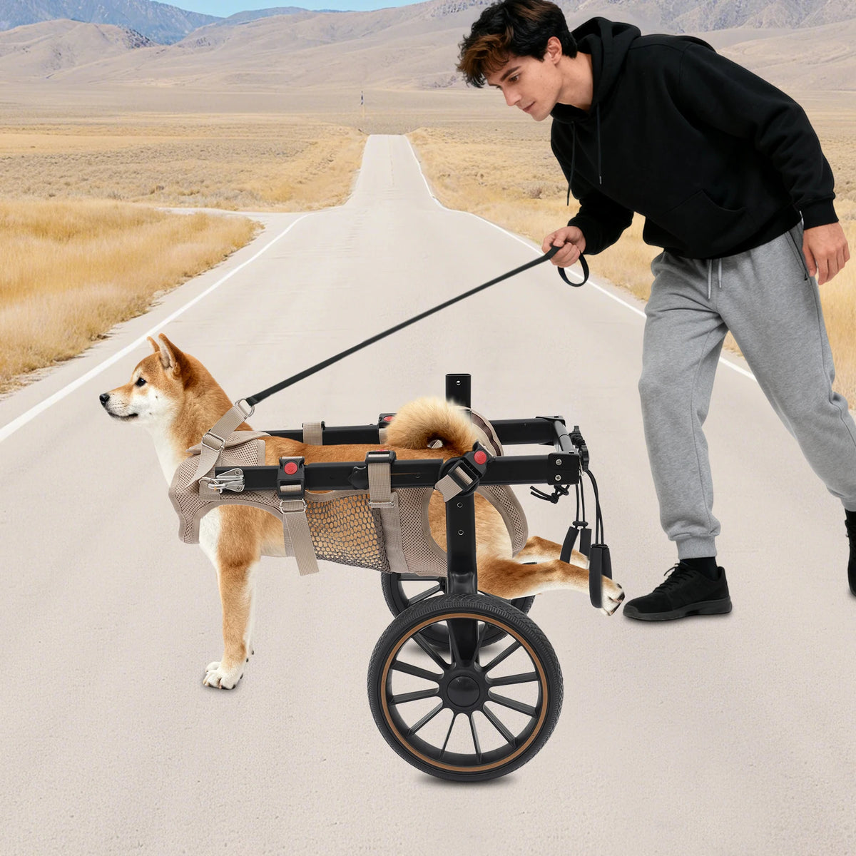 Adjustable Aluminum Alloy 2-Wheel Dog Wheelchair