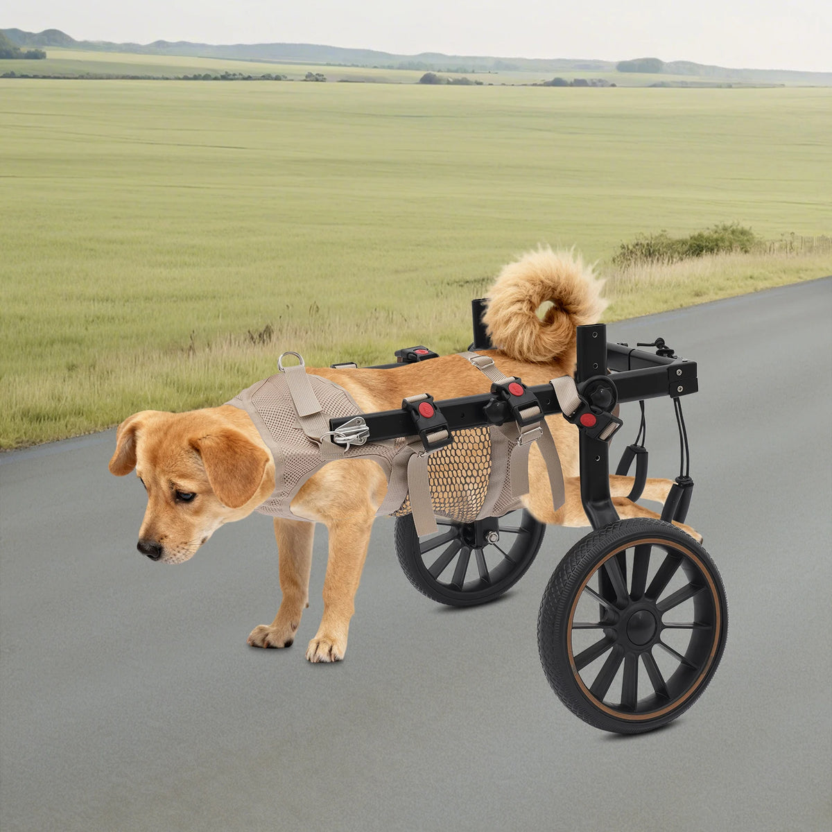 Adjustable Aluminum Alloy 2-Wheel Dog Wheelchair