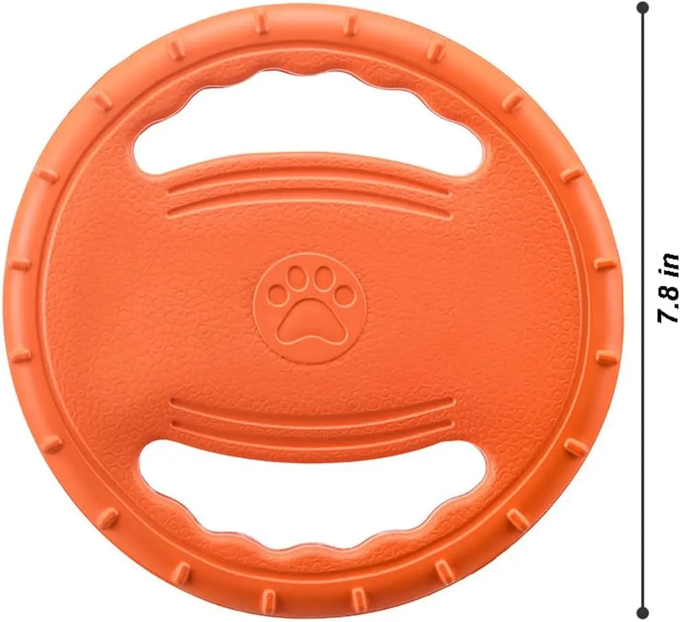 Flying Disc Dog Training