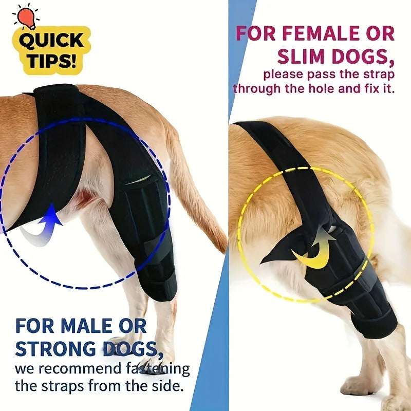 Adjustable Dog Knee & Leg Brace