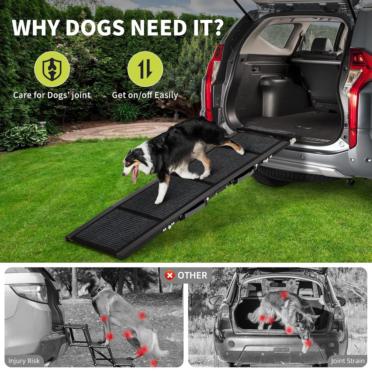 Dog Ramp For Cars