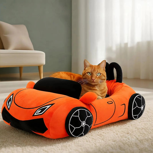 Funny Cat and Puppy Beds