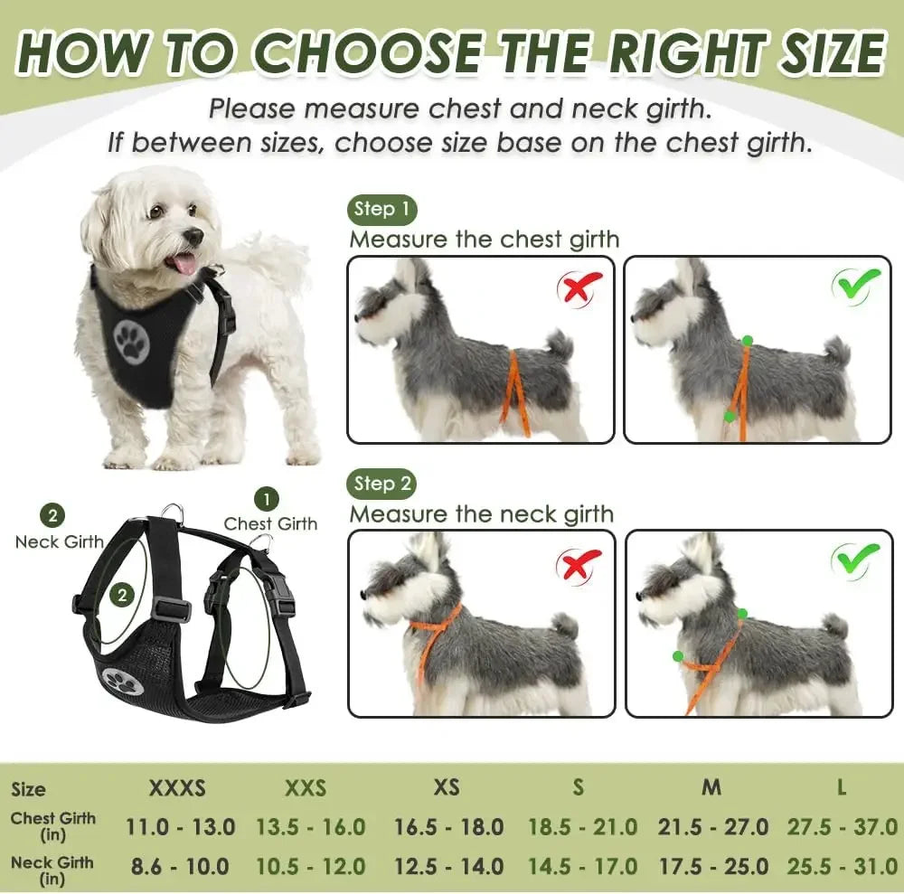 Dog Seat Belt Harness Harness Adjustable Mesh Breathable Safety Tether with Elastic Bungee for Small Medium Large Pets, Double Clip