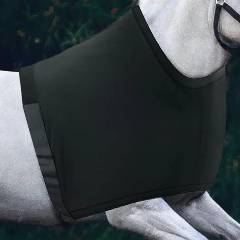Horse Neck Cover
