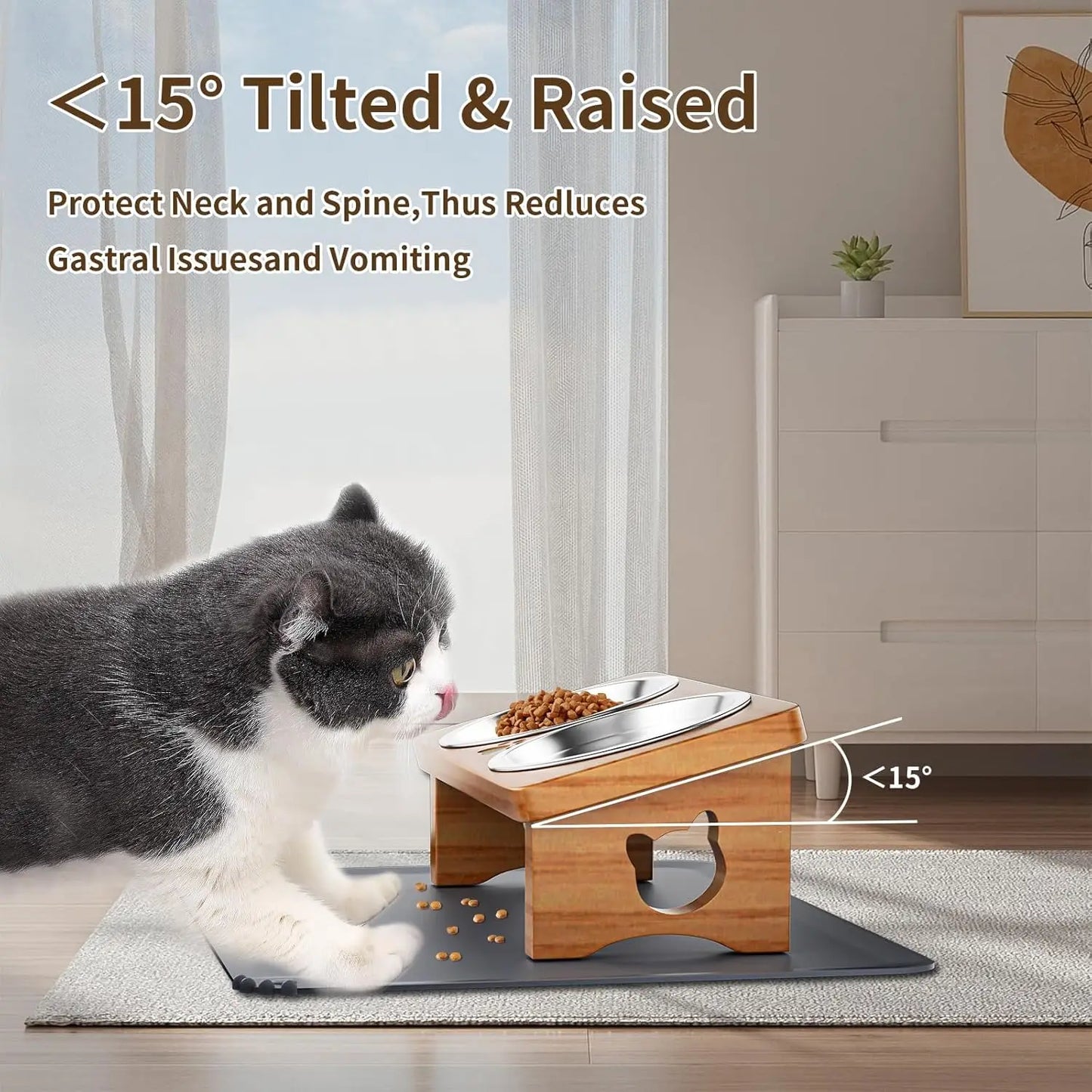 15° Tilted Elevated Pet Bowls with Silicone Mat