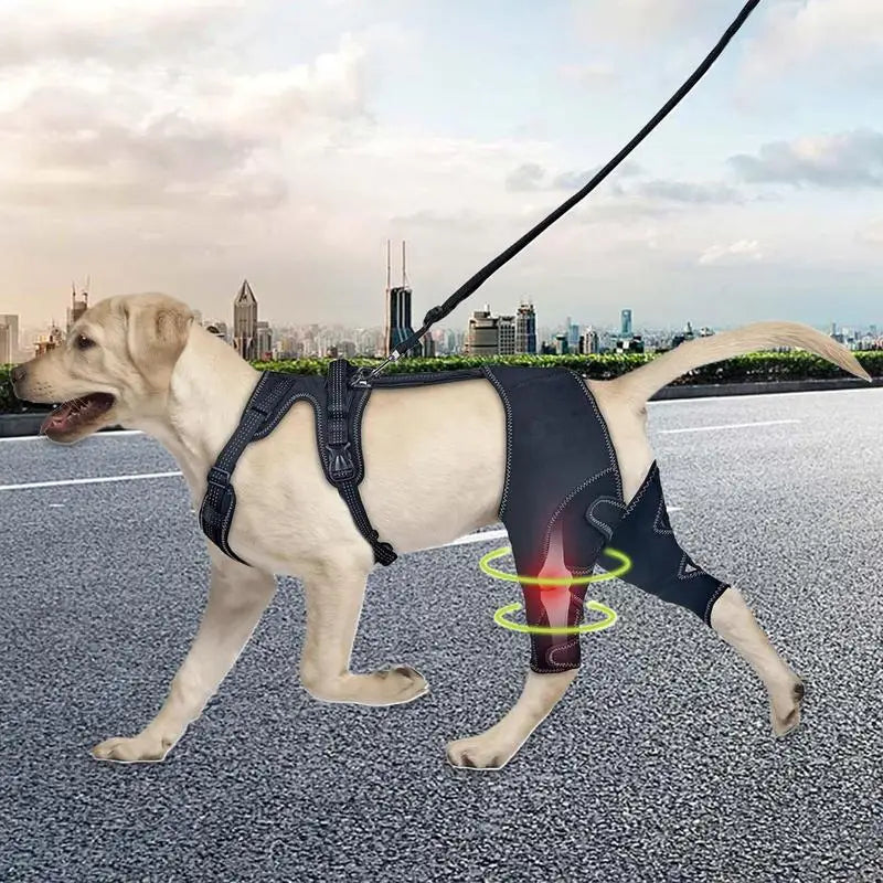 Dog Knee Brace Pet Orthopedic