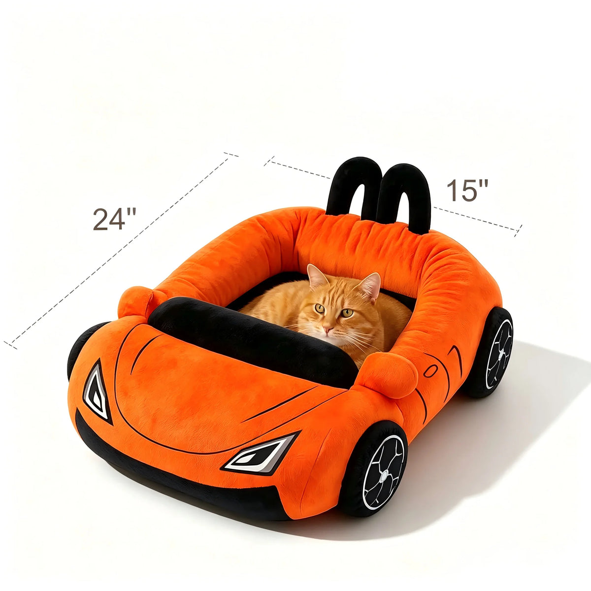 Funny Cat and Puppy Beds