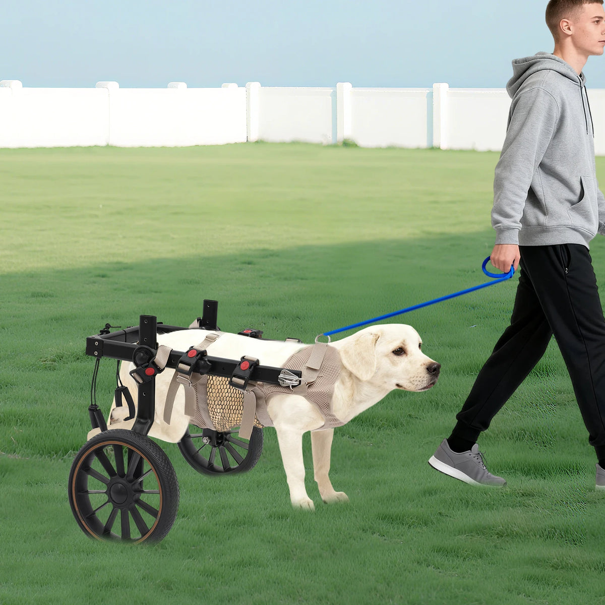 Adjustable Aluminum Alloy 2-Wheel Dog Wheelchair