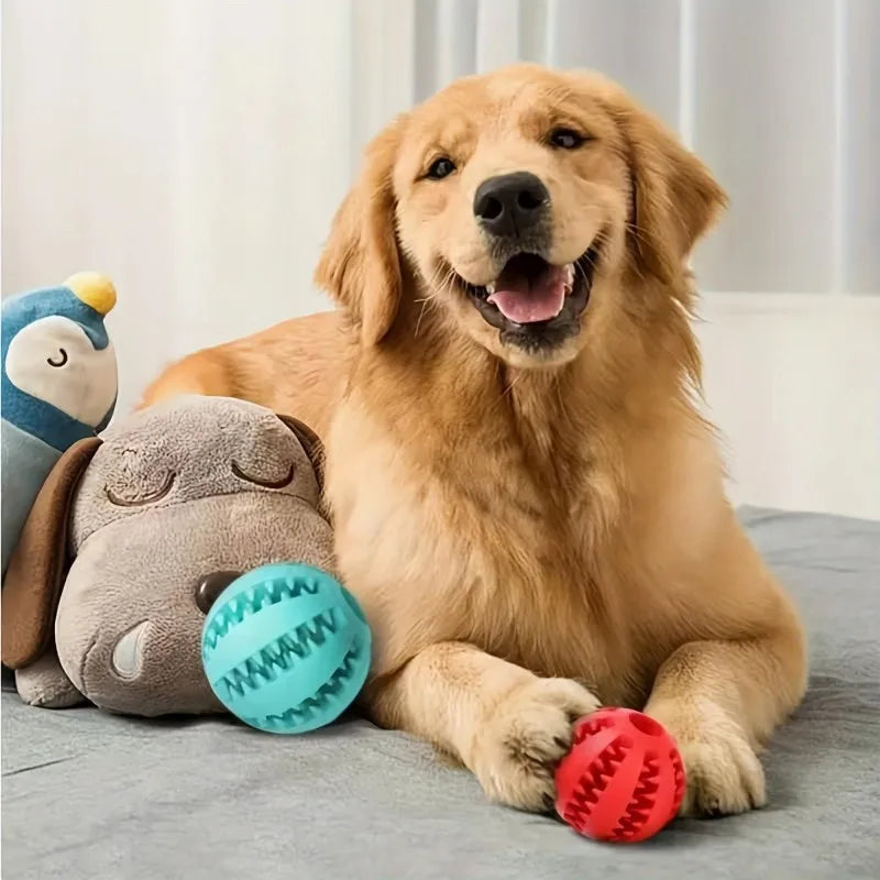 1-Pack Dog Puzzle Toy