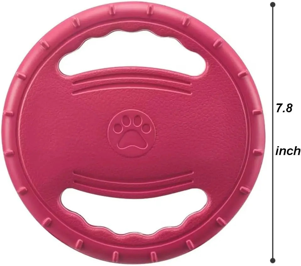 Flying Disc Dog Training