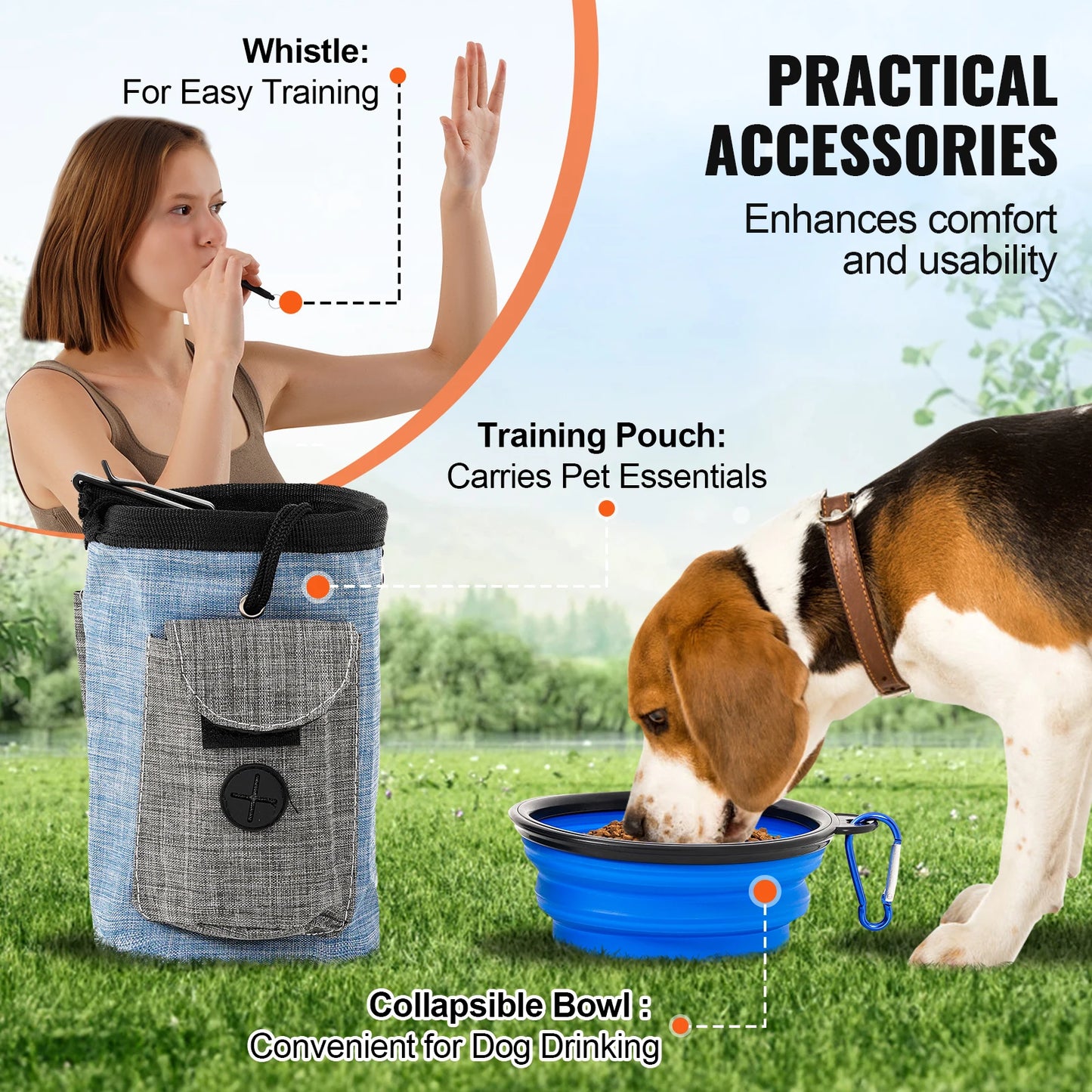 Dog Agility Training Equipment