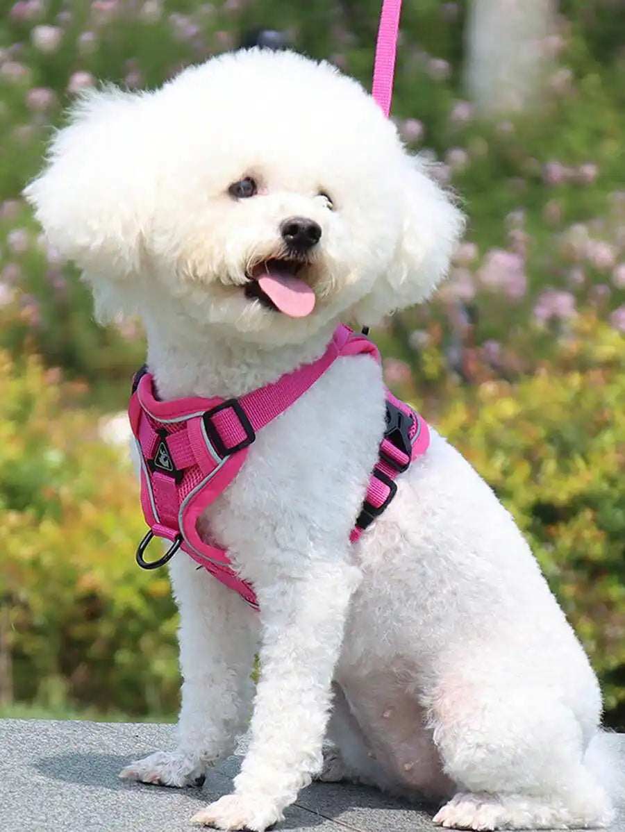 Pet Harness And Leash Set