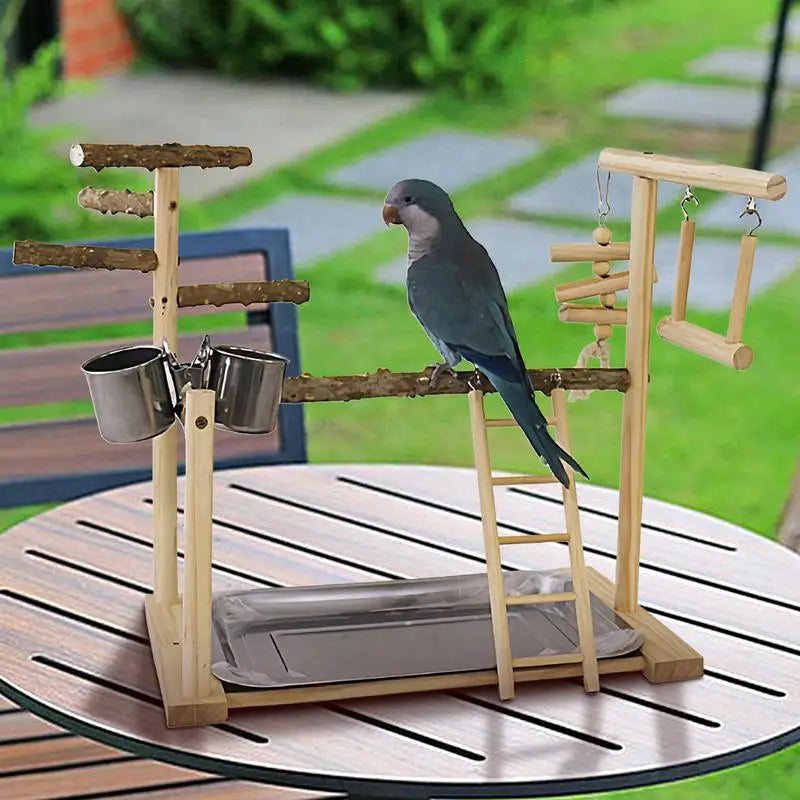 Parakeet Playground