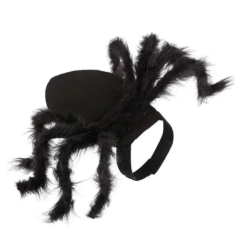 Spider Costume For Dogs & Cats
