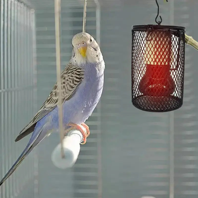 Parrot Warmer Lamp