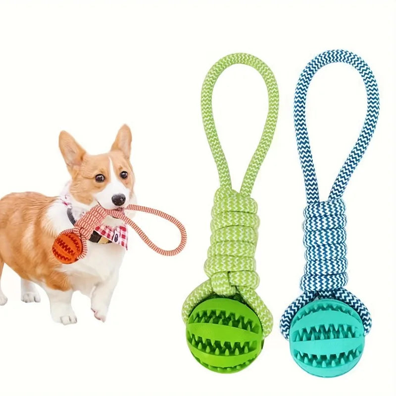 1-Pack Dog Puzzle Toy