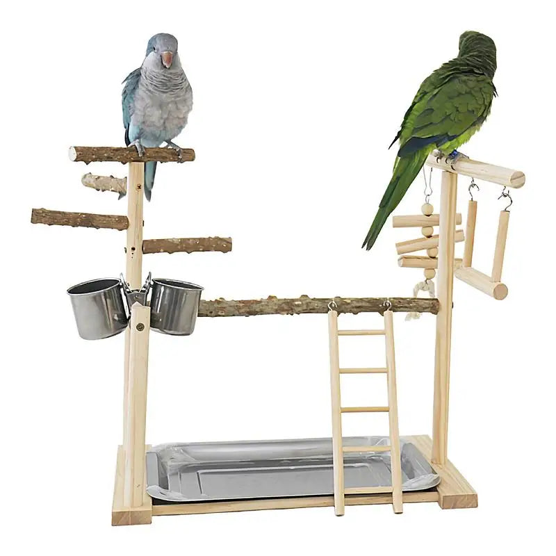 Parakeet Playground
