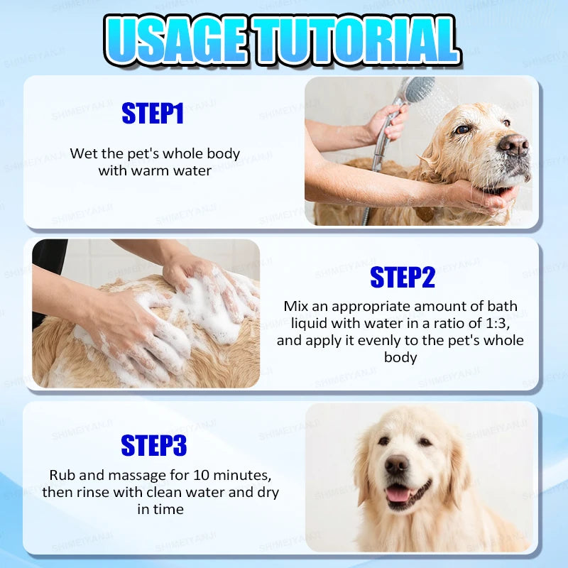 Waterless Dry Shampoo